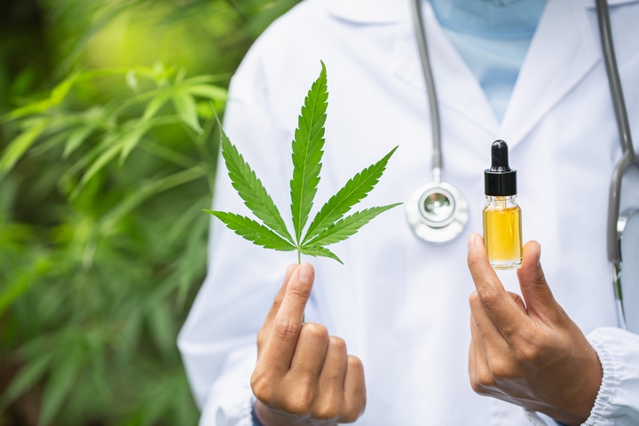 6 CANNABIS OIL BENEFITS FROM A HEALTH PERSPECTIVE